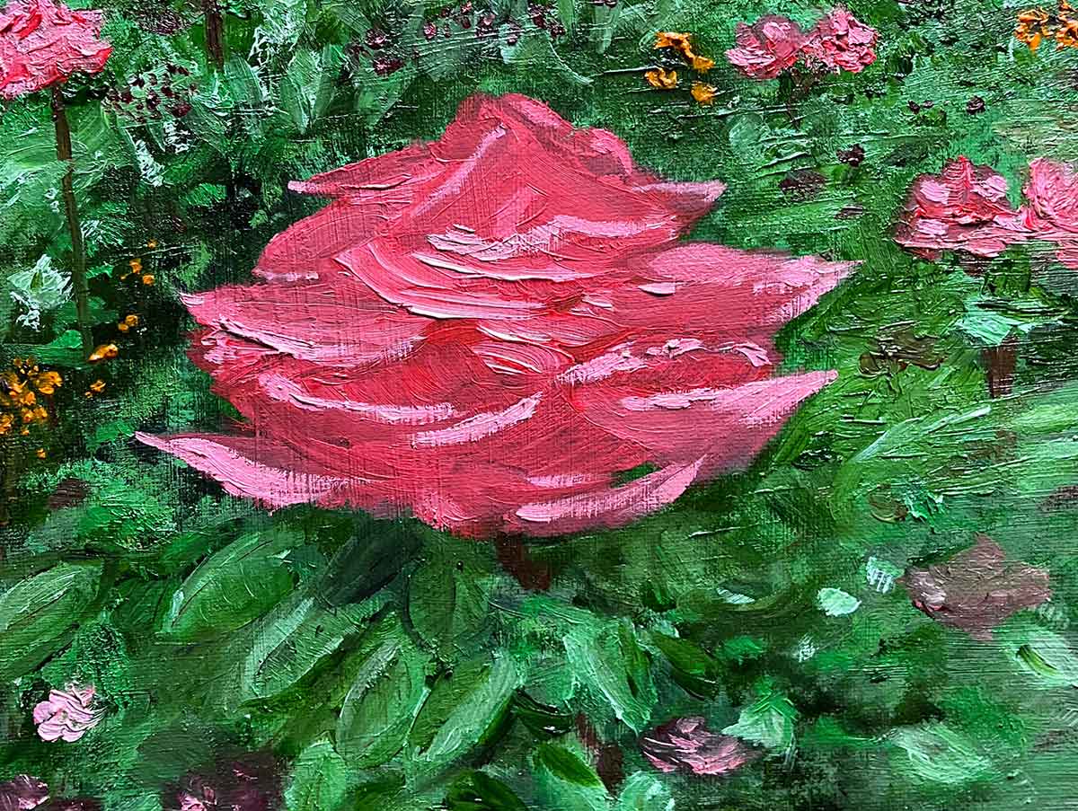 Rose at Lowes